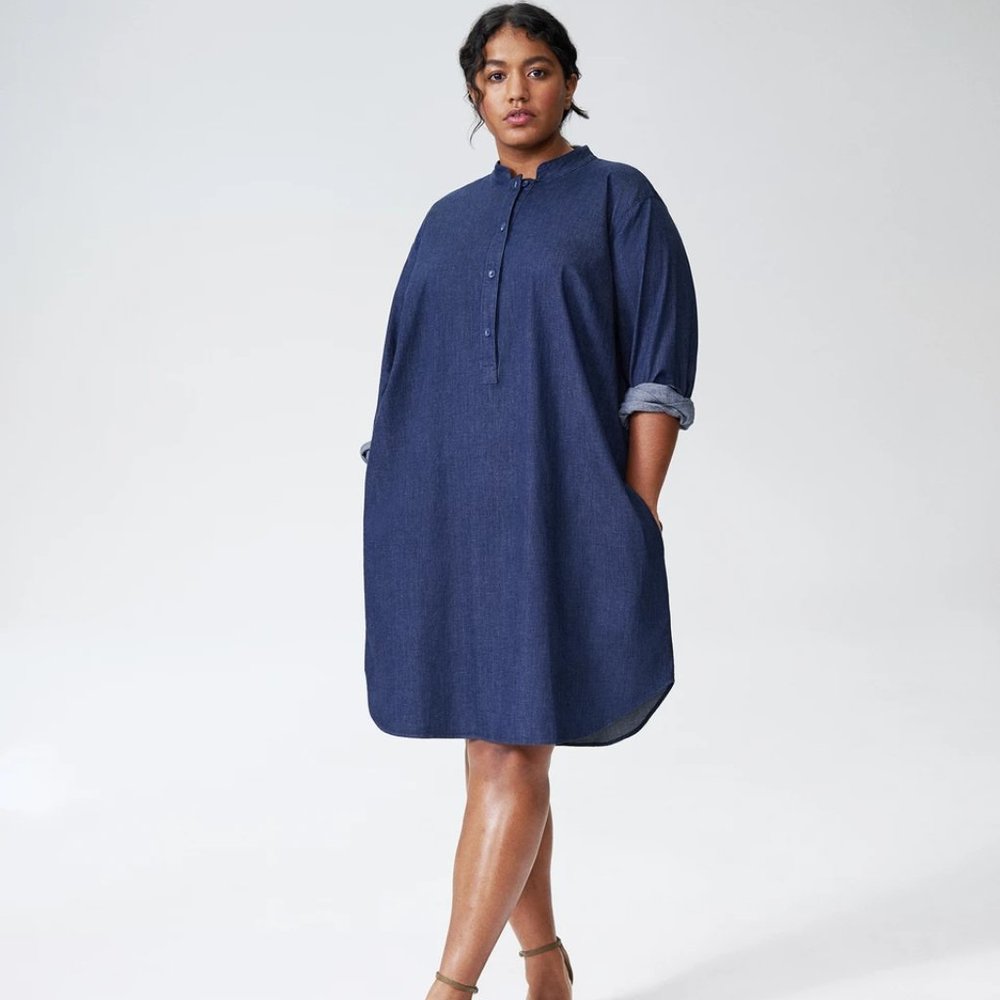 Hannah Denim Shirt Dress (14/16) in Dark Indigo